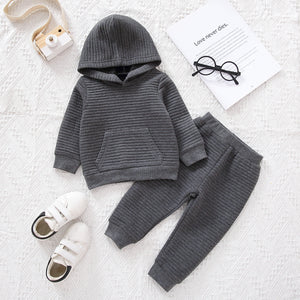 2pcs Baby BoyGirl Solid Thickened Textured Long-sleeve Hoodie and Trousers Set