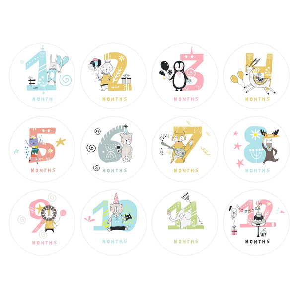 Baby Milestone Photo Commemorative Stickers for January to December